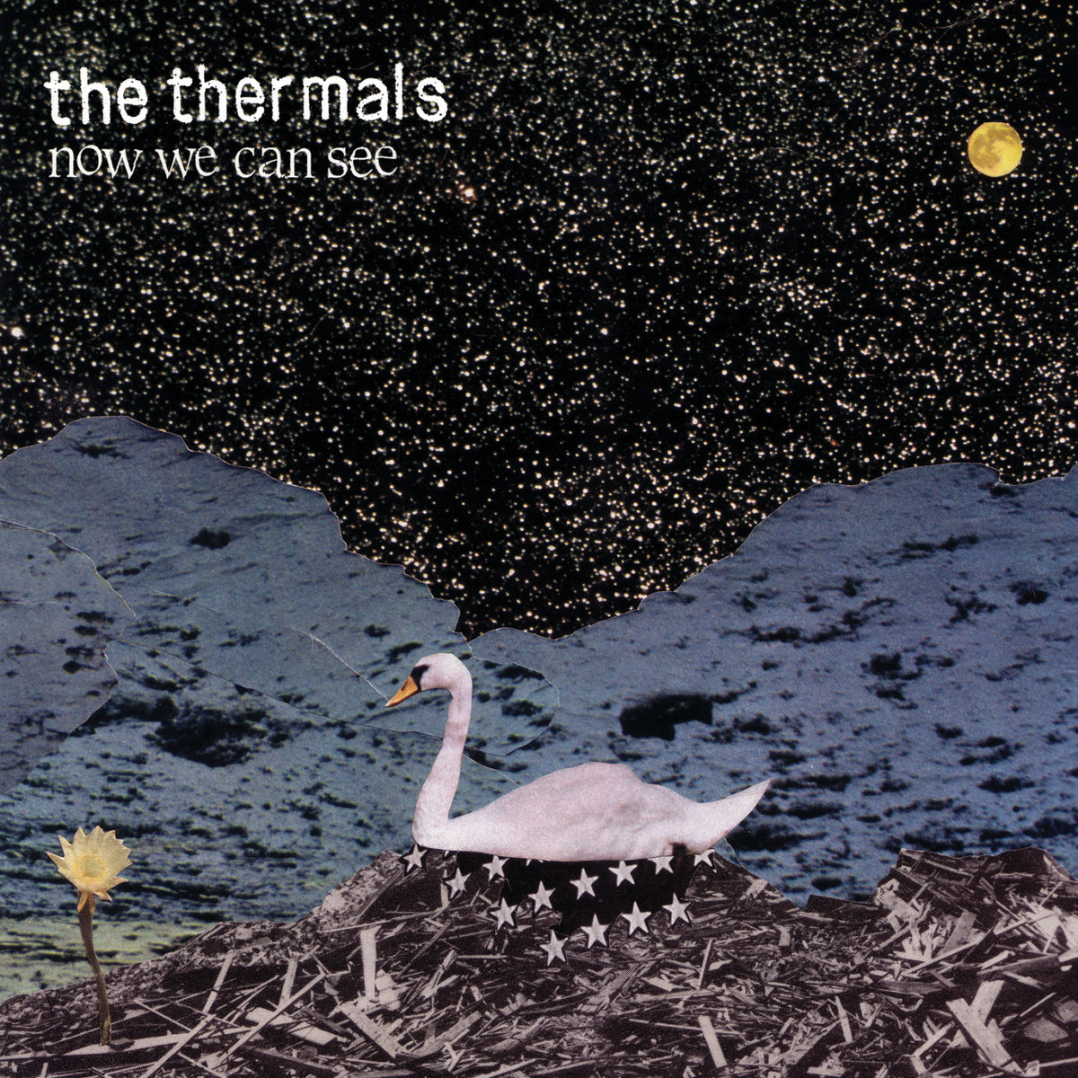 THERMALS, THE - NOW WE CAN SEE