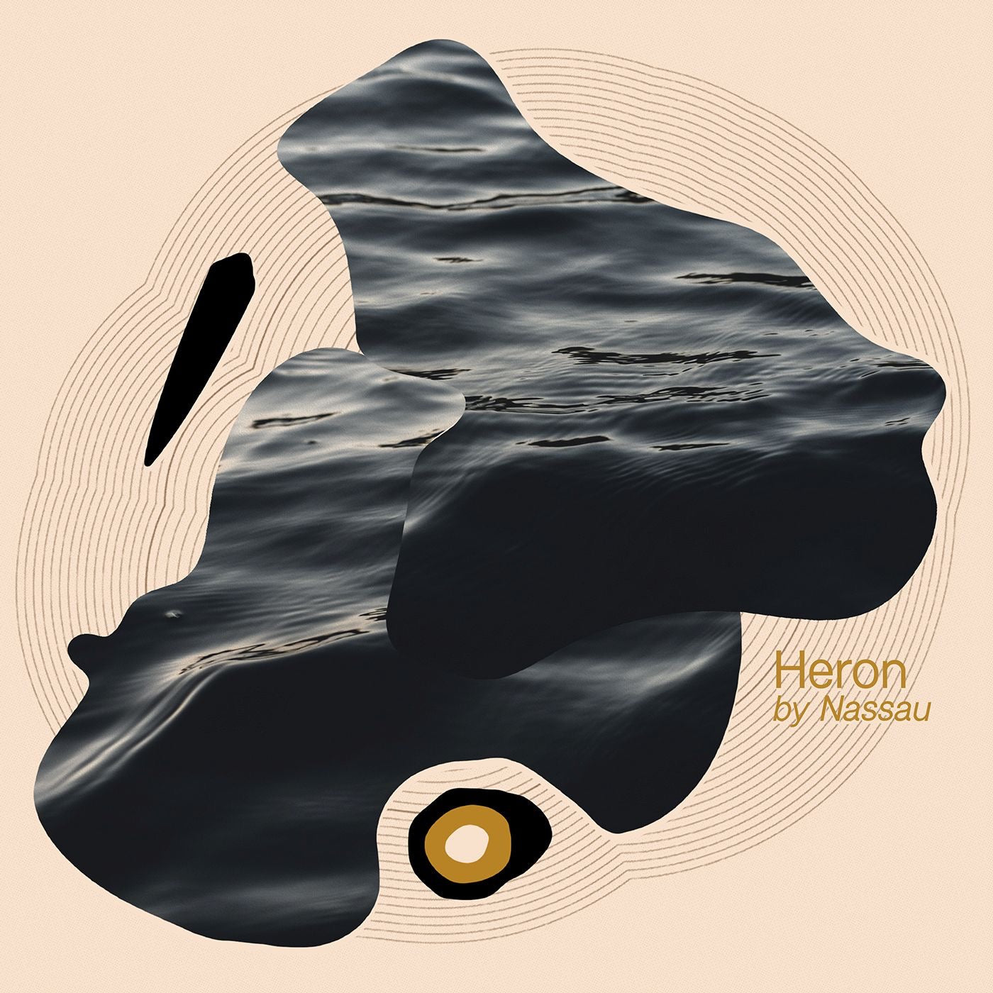 NASSAU  - HERON