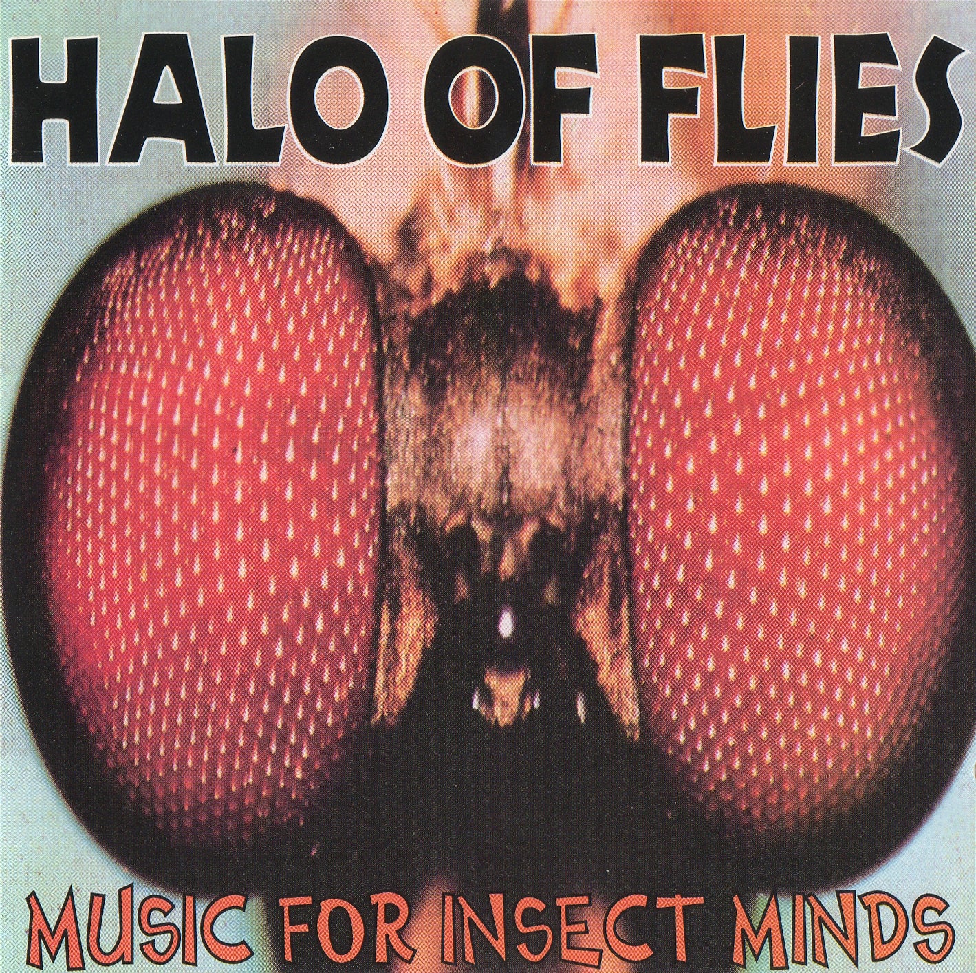 HALO OF FLIES  - MUSIC FOR INSECT MINDS