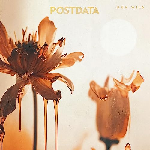 POSTDATA - RUN WILD (VINYL)