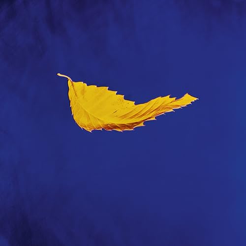 NEW ORDER - TRUE FAITH (2023 REMASTER)