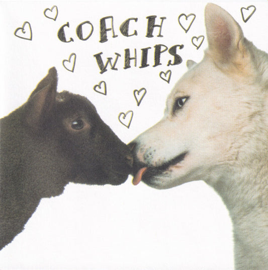 COACHWHIPS  - BANGERS VS. FUCKERS