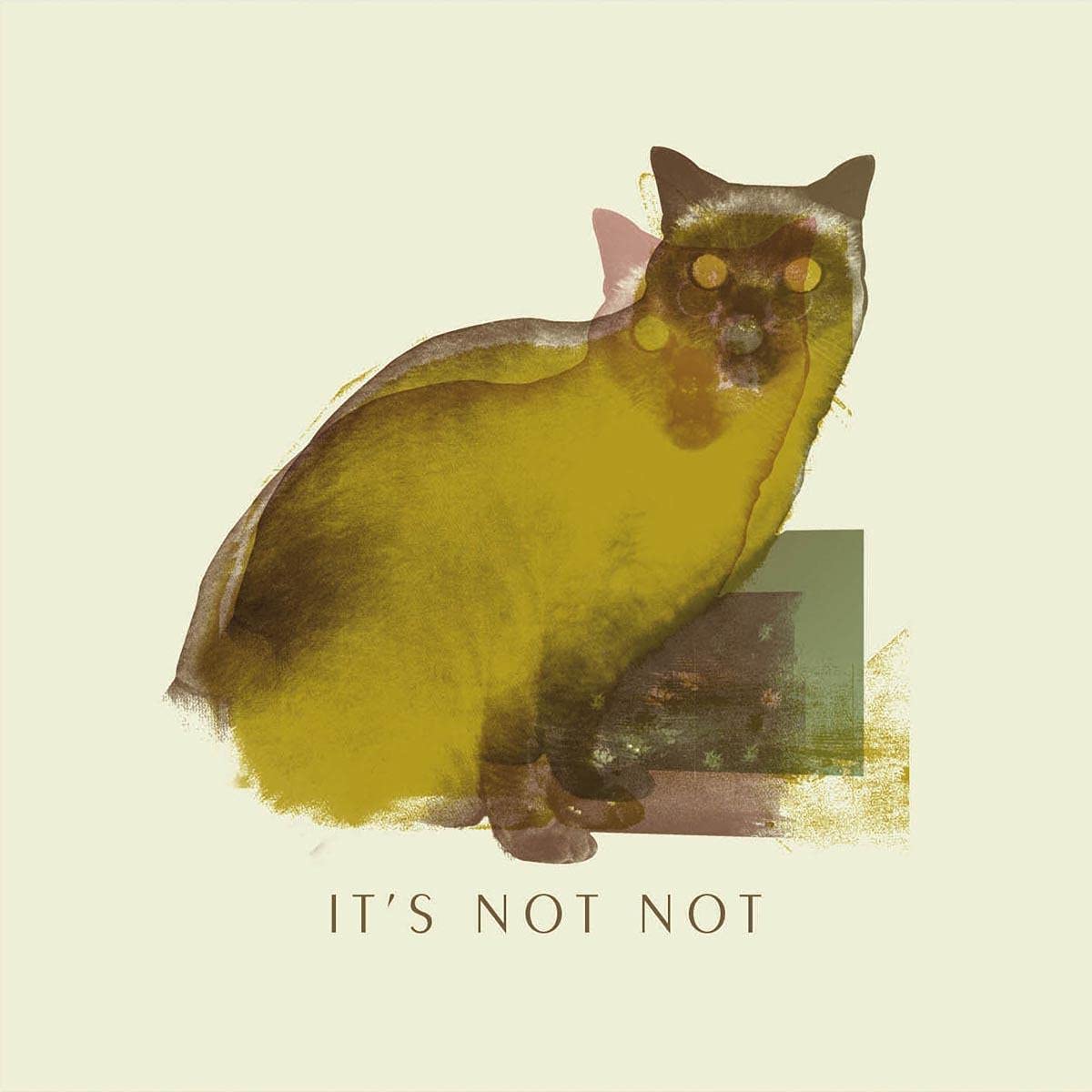 IT'S NOT NOT  - BOUND FOR THE SHINE