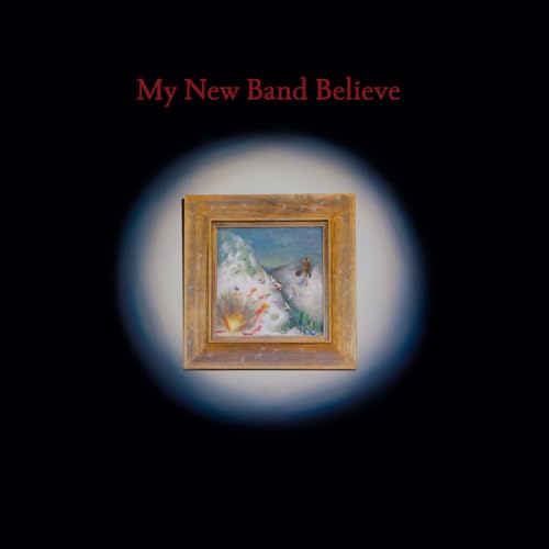 MY NEW BAND BELIEVE - MY NEW BAND BELIEVE (VINYL)