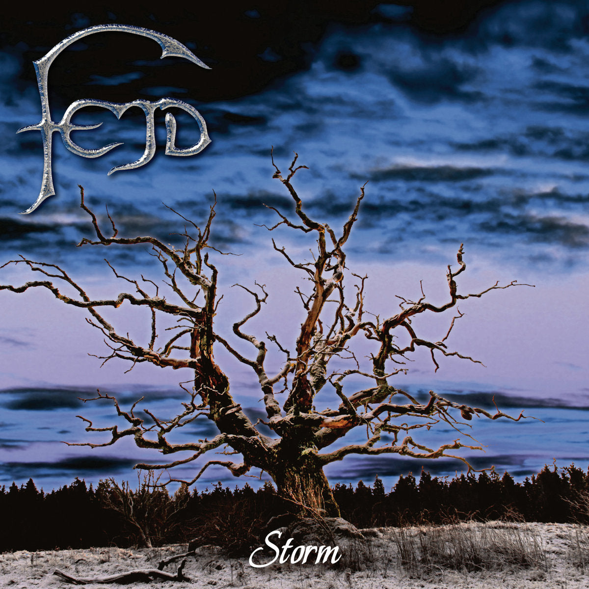 FEJD  - STORM