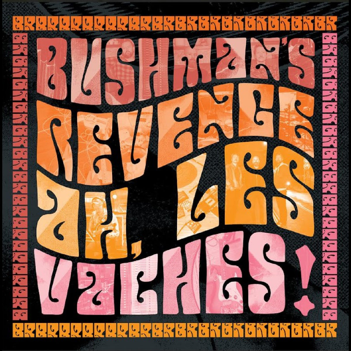 BUSHMAN'S REVENGE - AH, LES VACHES