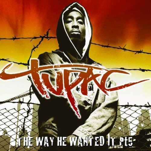 2 PAC  - WAY HE WANTED IT V5