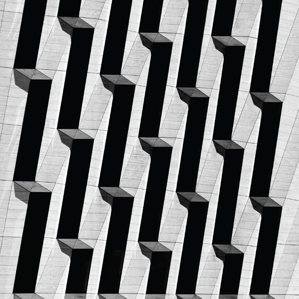 SNOW PALMS - EVERYTHING ASCENDING