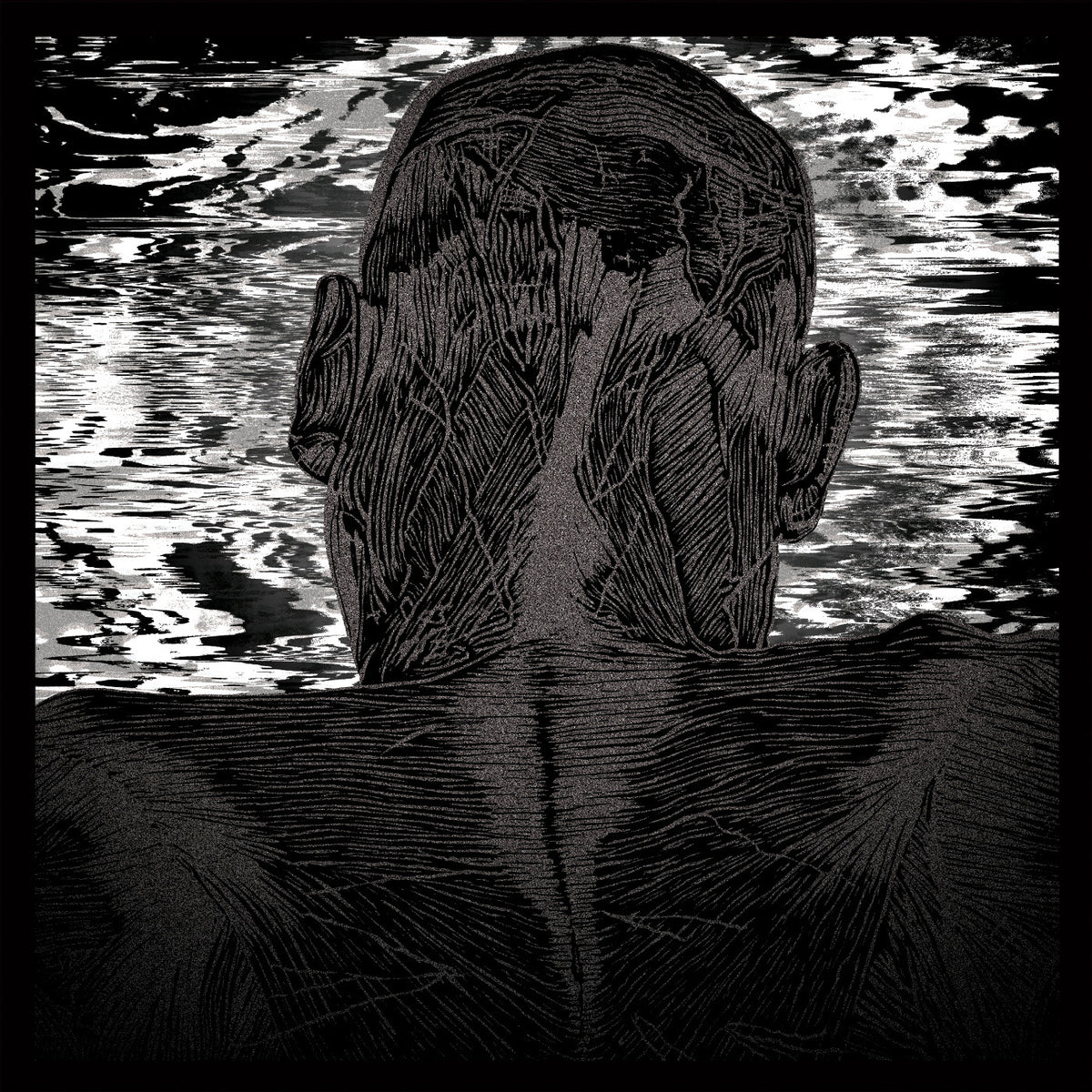 LEVITAS, ASHER - LIT HARNESS