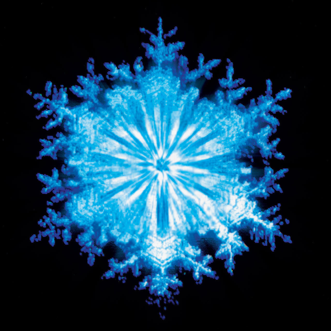 COIL  - SNOW