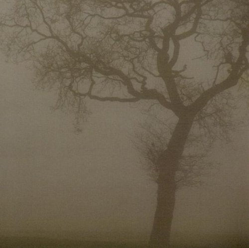 JESU  - SILVER