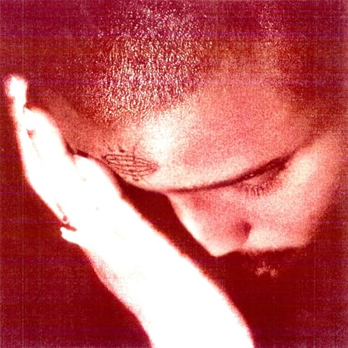 NOURISHED BY TIME - THE PASSIONATE ONES (CD)
