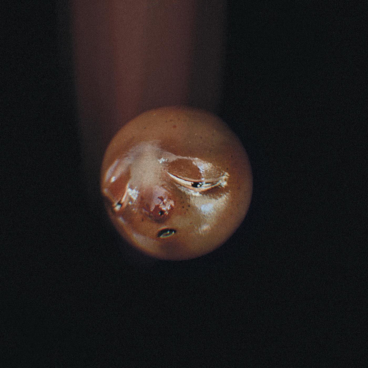 POOLBLOOD - MOLE