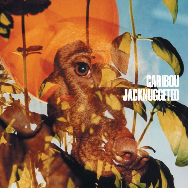CARIBOU - JACKNUGGETED