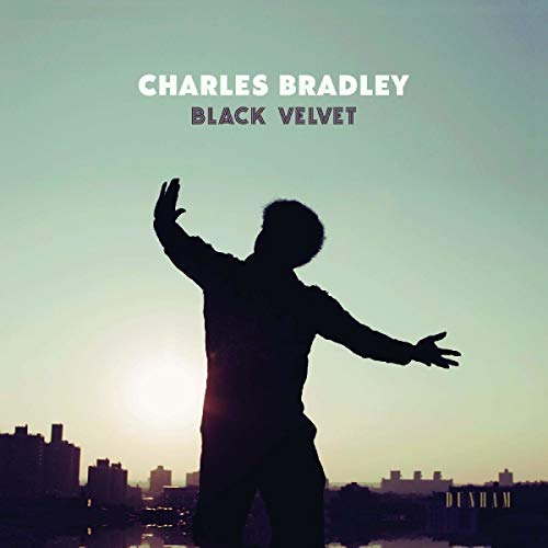 CHARLES BRADLEY - BLACK VELVET (VINYL)