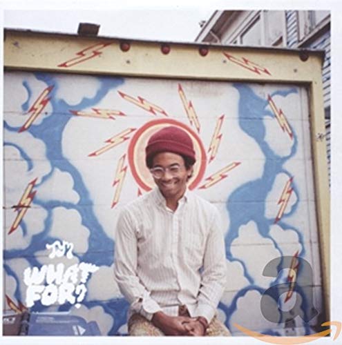 TORO Y MOI - WHAT FOR (CD)