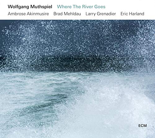 MUTHSPIEL/AKINMUSIRE/MEHLDAU/GRENADIER/HARLAND - WHERE THE RIVER GOES (CD)