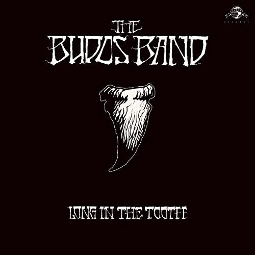BUDOS BAND - LONG IN THE TOOTH (DL CARD) (VINYL)