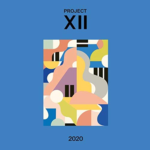 VARIOUS ARTISTS - XII 2020 (VINYL)