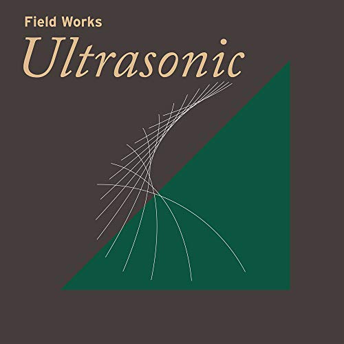 VARIOUS ARTISTS - FIELD WORKS: ULTRASONIC (2LP)