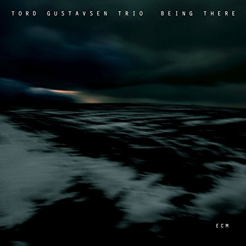 GUSTAVSEN,TORD TRIO - BEING THERE (CD)