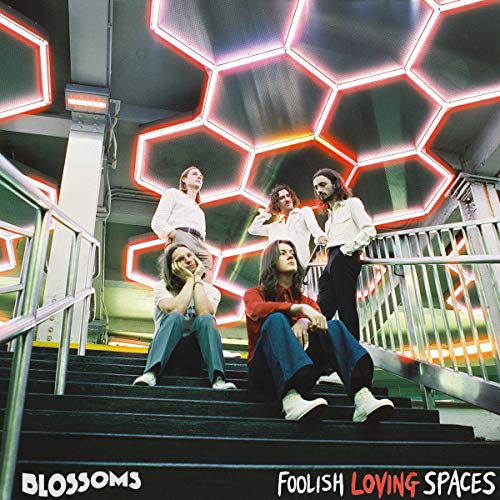 BLOSSOMS - FOOLISH LOVING SPACES (VINYL)