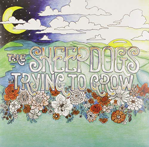 THE SHEEPDOGS - TRYING TO GROW (LP)