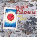 BLACK SUN ENS - SKY PILOT (CD)
