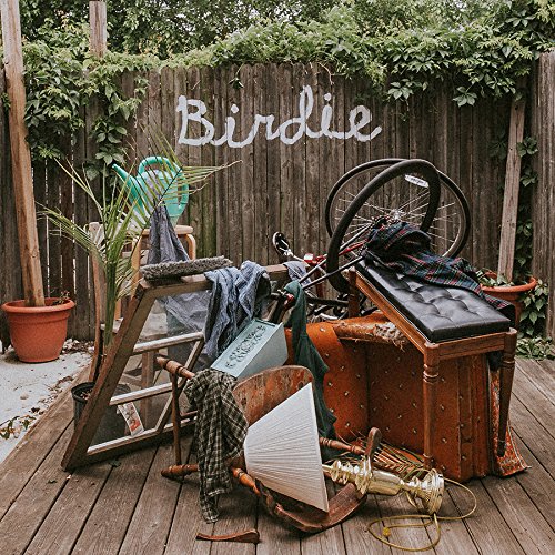 SLAUGHTER BEACH DOG - BIRDIE (VINYL)