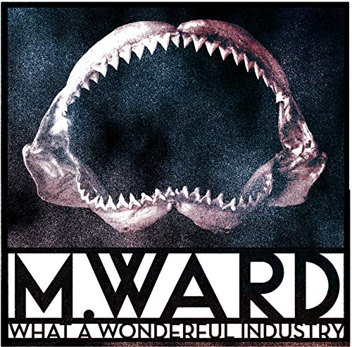 M. WARD - WHAT A WONDERFUL INDUSTRY (VINYL)