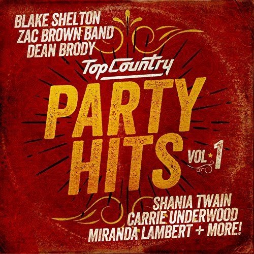 VARIOUS ARTISTS - TOP COUNTRY PARTY HITS VOL.1 (CD)