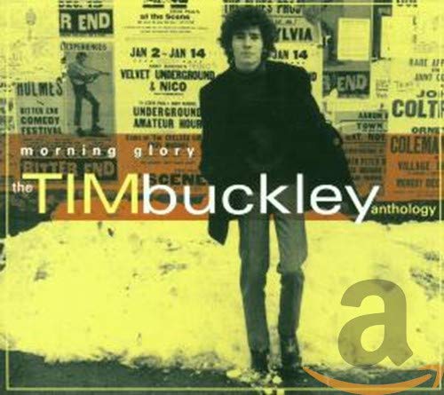 TIM BUCKLEY - MORNING GLORY: THE TIM BUCKLEY ANTHOLOGY (CD)