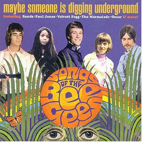 VARIOUS ARTISTS - MAYBE SOMEONE IS DIGGING UNDERGROUND: SONGS OF THE BEE GEES (CD)