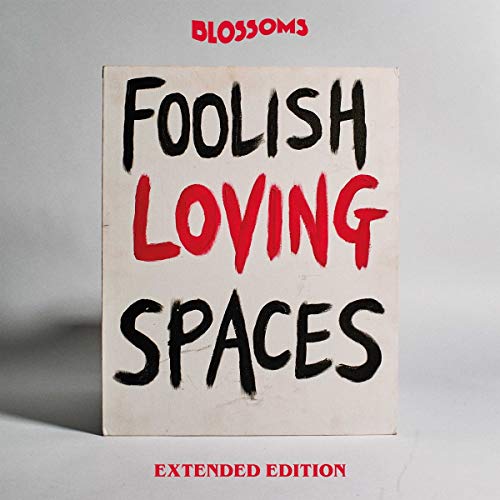 BLOSSOMS - FOOLISH LOVING SPACES (EXTENDED EDITION) (CD)