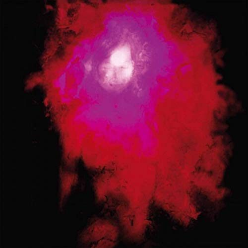 PORCUPINE TREE - UP THE DOWNSTAIR ( 2 LP )