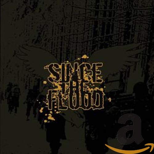 SINCE THE FLOOD - VALOR AND VNEGENCE (CD)