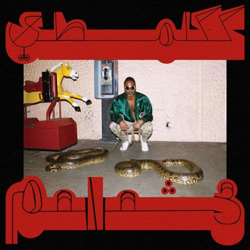 SHABAZZ PALACES - ROBED IN RARENESS (CD)