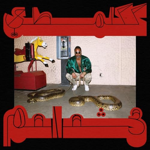 SHABAZZ PALACES - ROBED IN RARENESS