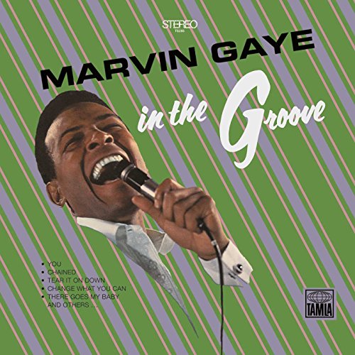 GAYE, MARVIN - IN THE GROOVE (VINYL)