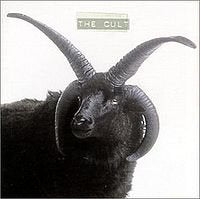 CULT  - THE CULT