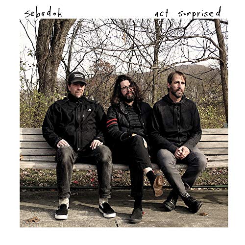 SEBADOH - ACT SURPRISED (VINYL)