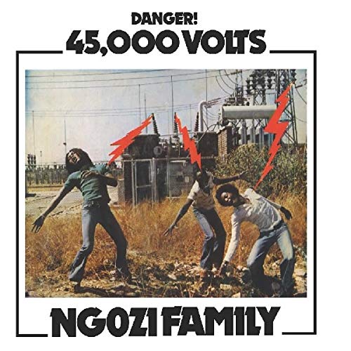 NGOZI FAMILY - 45,000 VOLTS (VINYL)