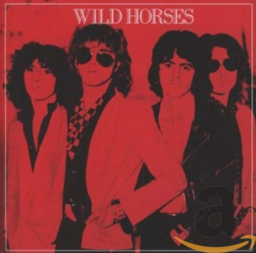 WILD HORSES - WILD HORSES (CD)