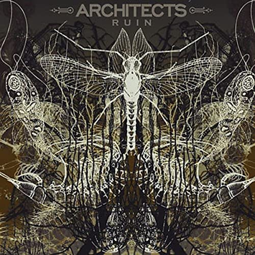 ARCHITECTS - RUIN (VINYL)