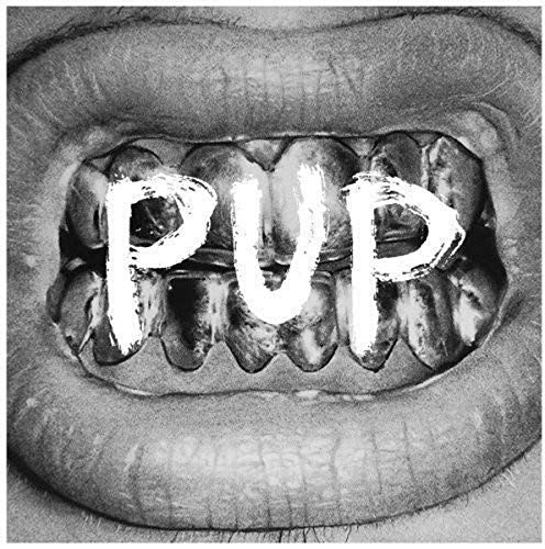 PUP - PUP (5TH ANNNIVERSARY PICTURE DISC) (VINYL)