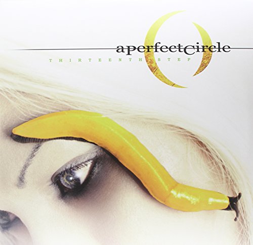 A PERFECT CIRCLE - THIRTEENTH STEP (VINYL)