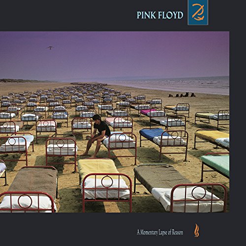 PINK FLOYD - A MOMENTARY LAPSE OF REASON (VINYL)