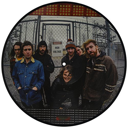 KING GIZZARD & THE LIZARD WIZARD - POLYGONDWANALAND (PICTURE DSIC) (VINYL)