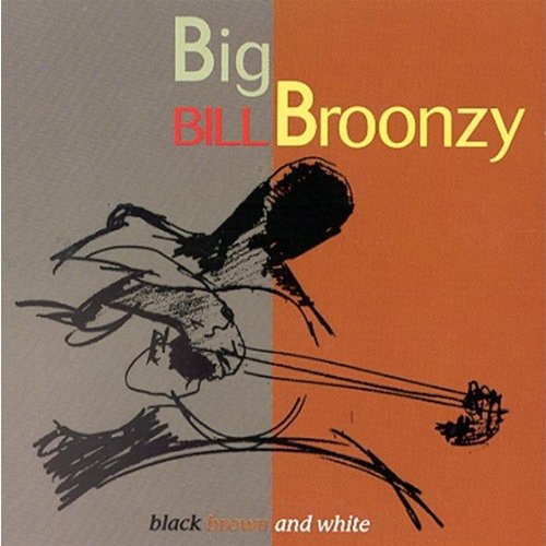 BROONZY, BIG BILL - BLACK BROWN AND WHITE