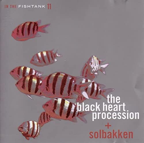 BLACK HEART PROCESSION/SOLBAKK - V11 IN THE FISHTANK